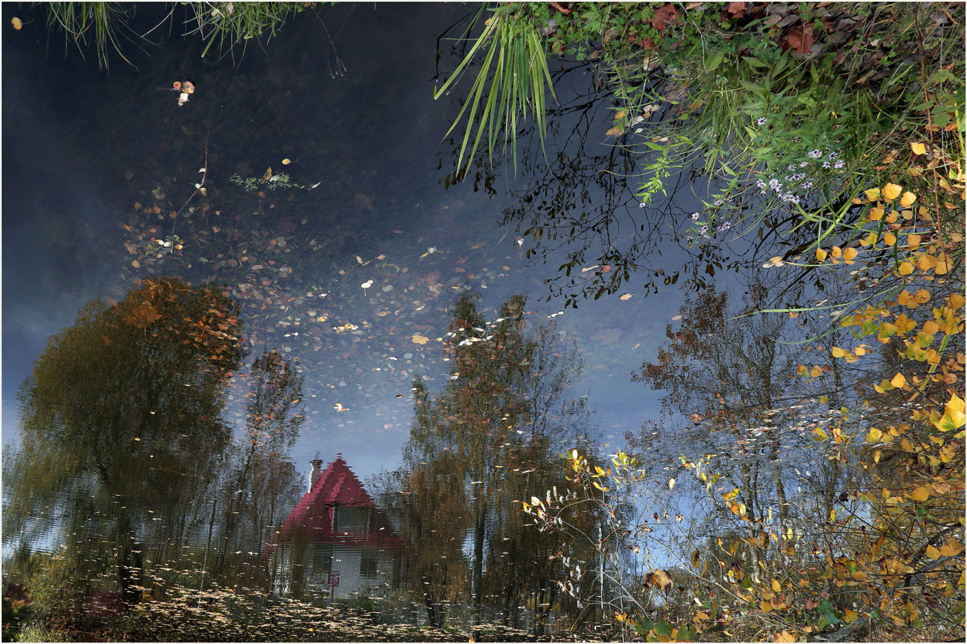 Reflection