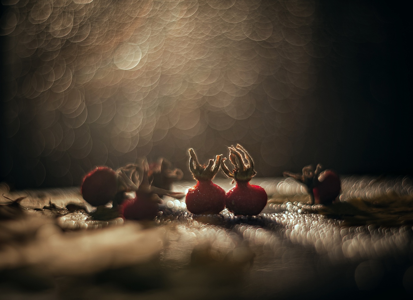 Autumn Romance
