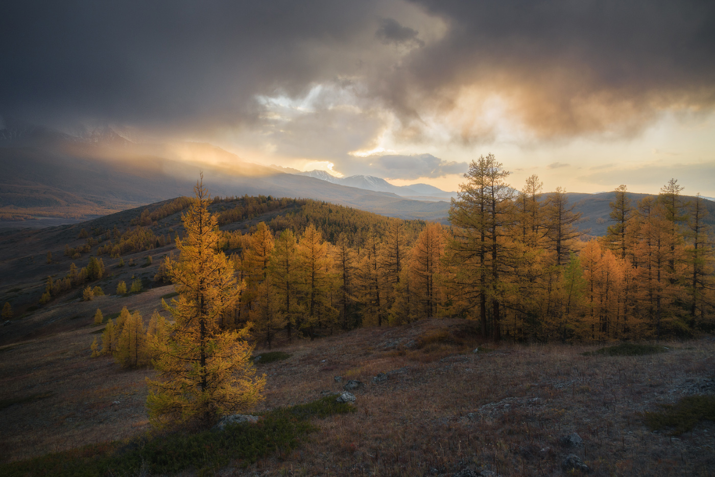 Autumn breath