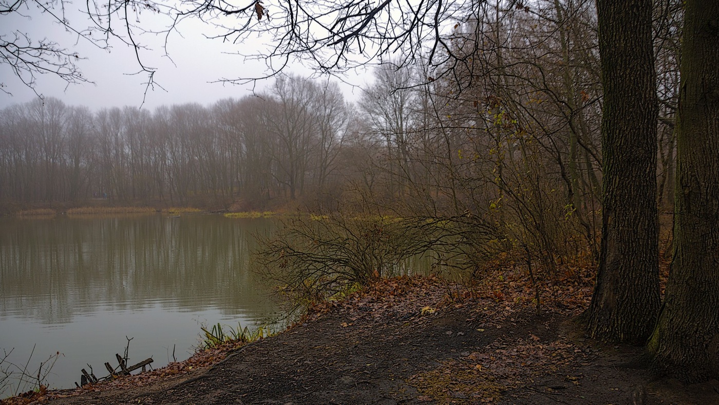 November