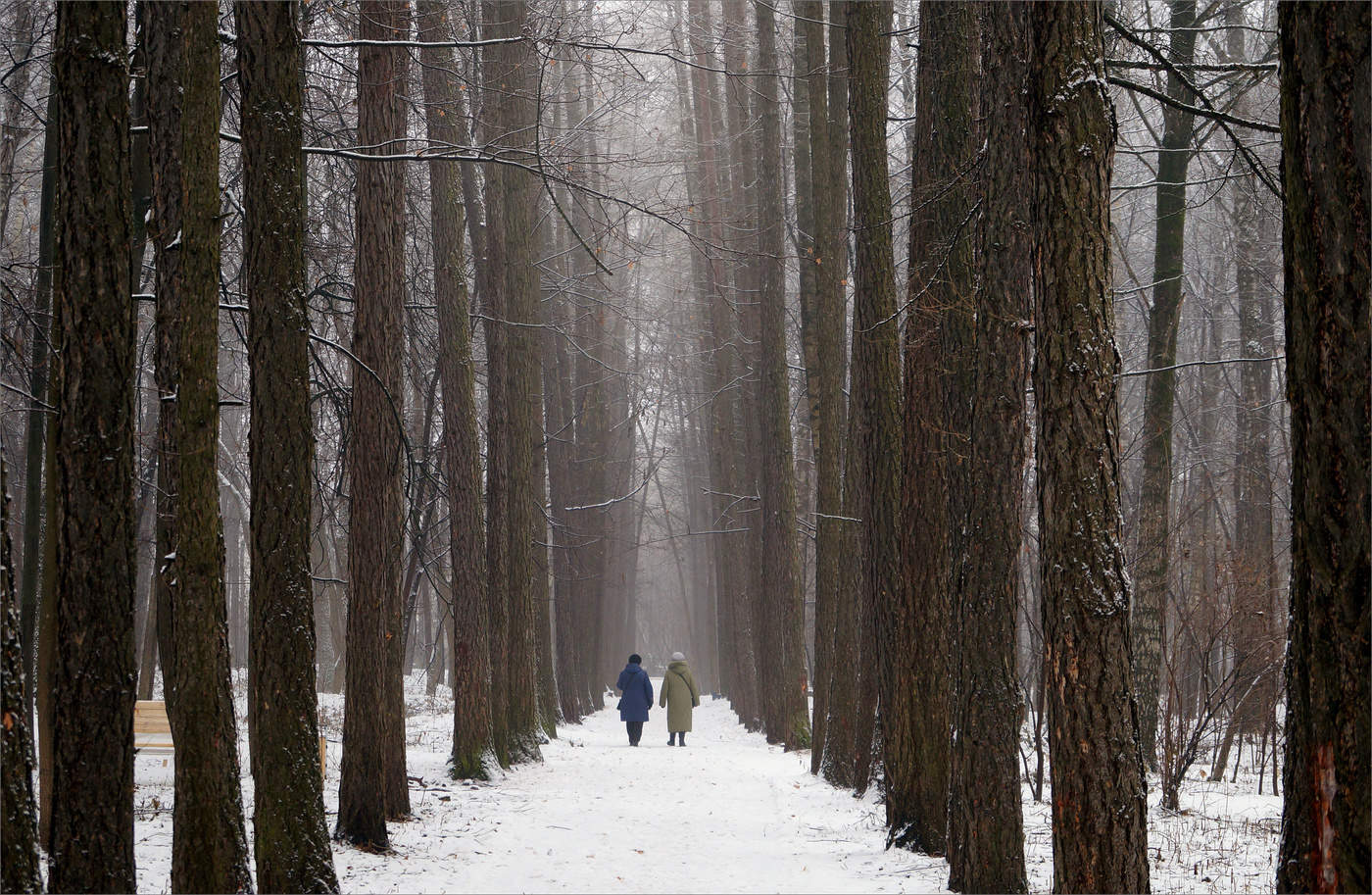 In the old park