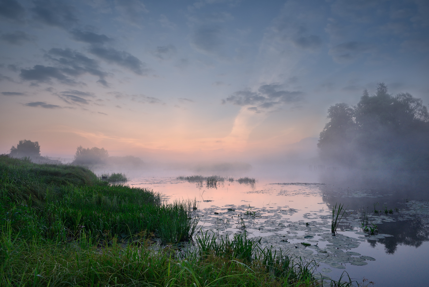 Dawn