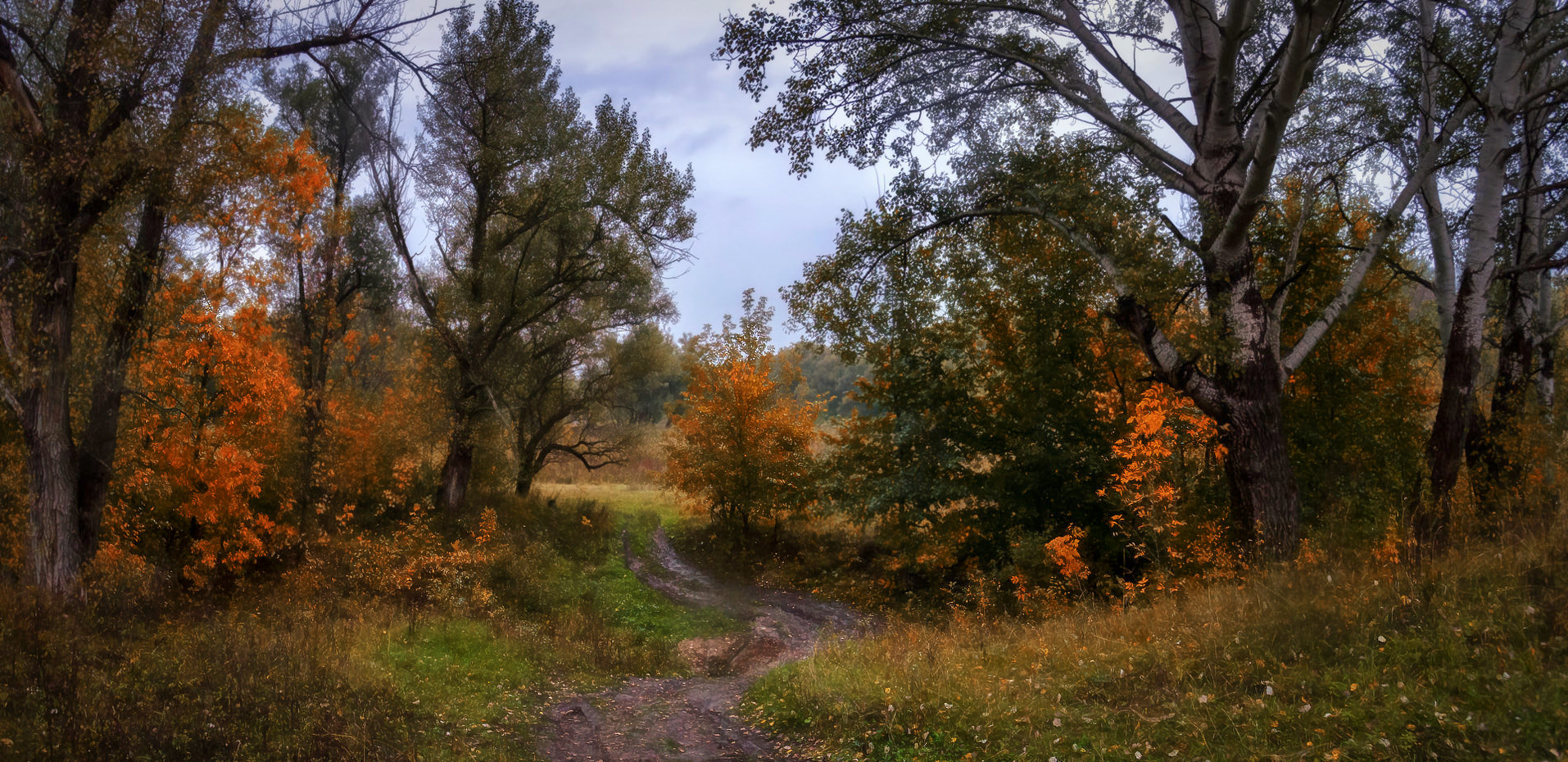 Tales rainy autumn