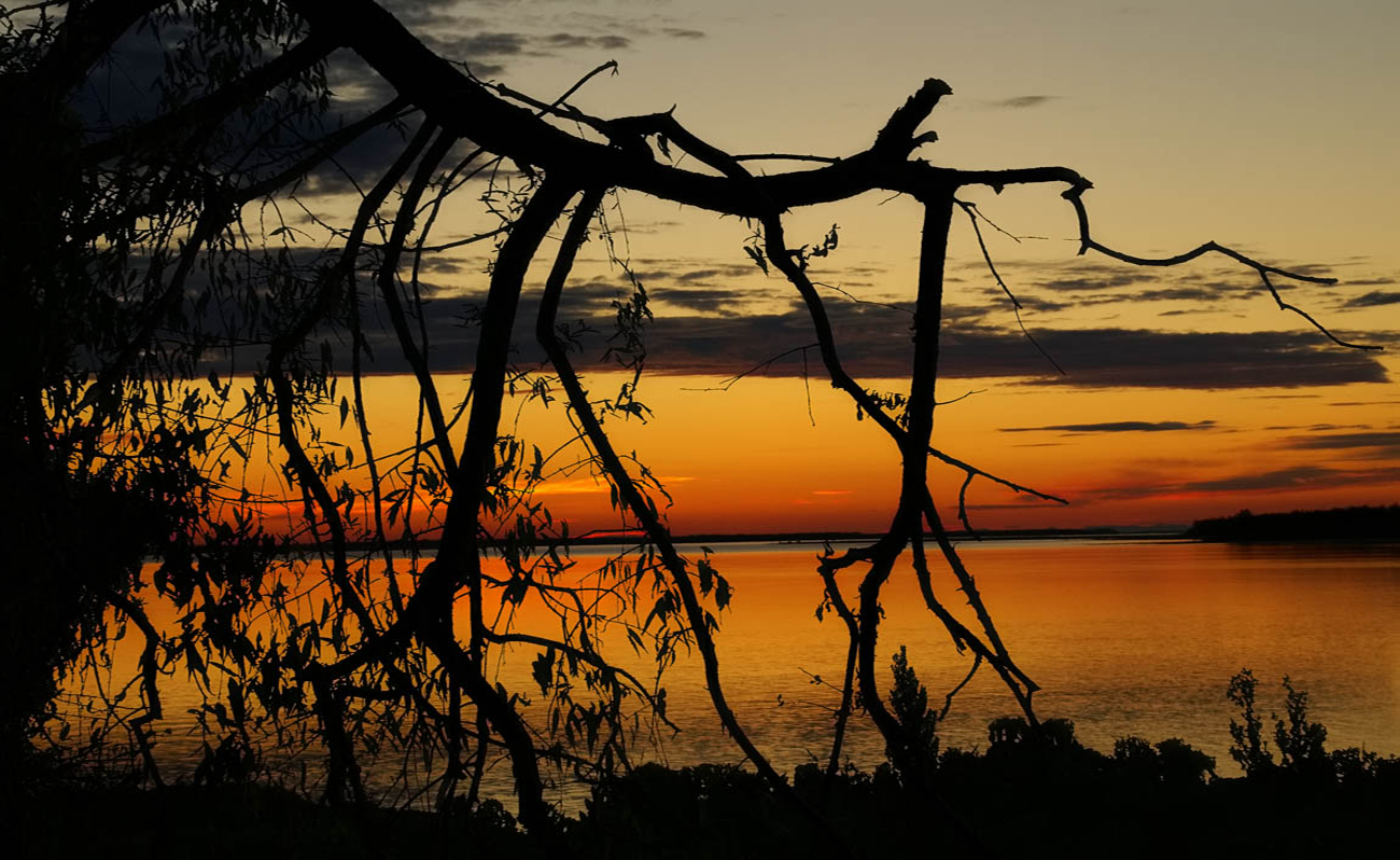 Dawn
