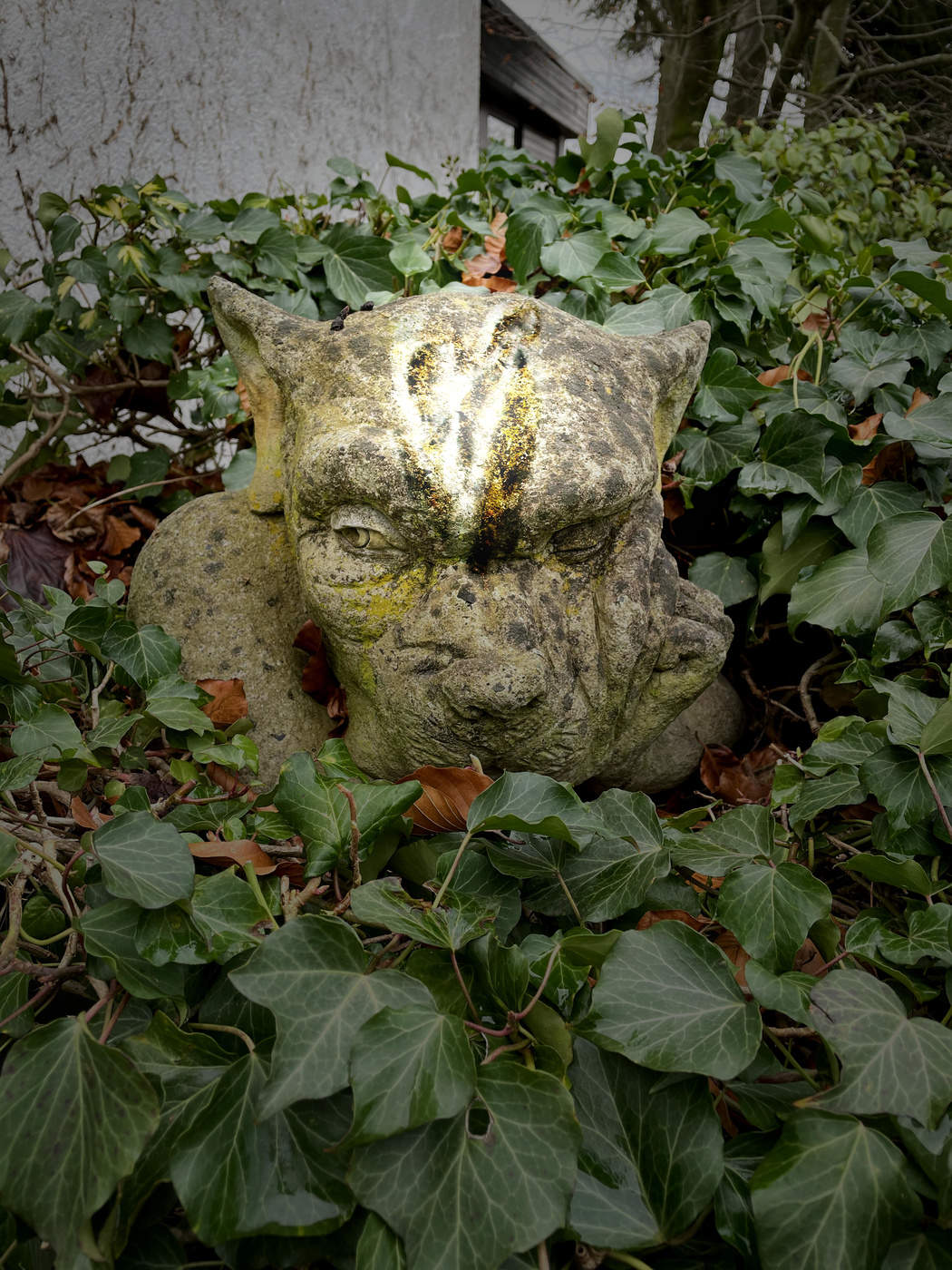 Head
