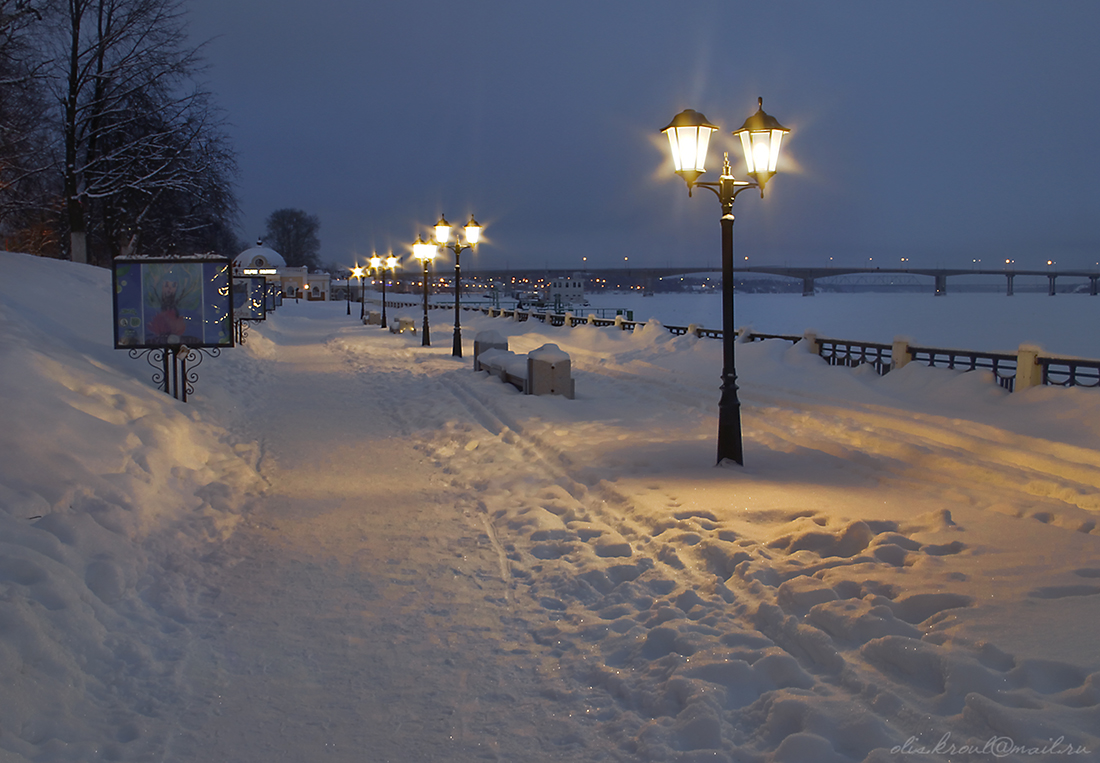 Blue night
