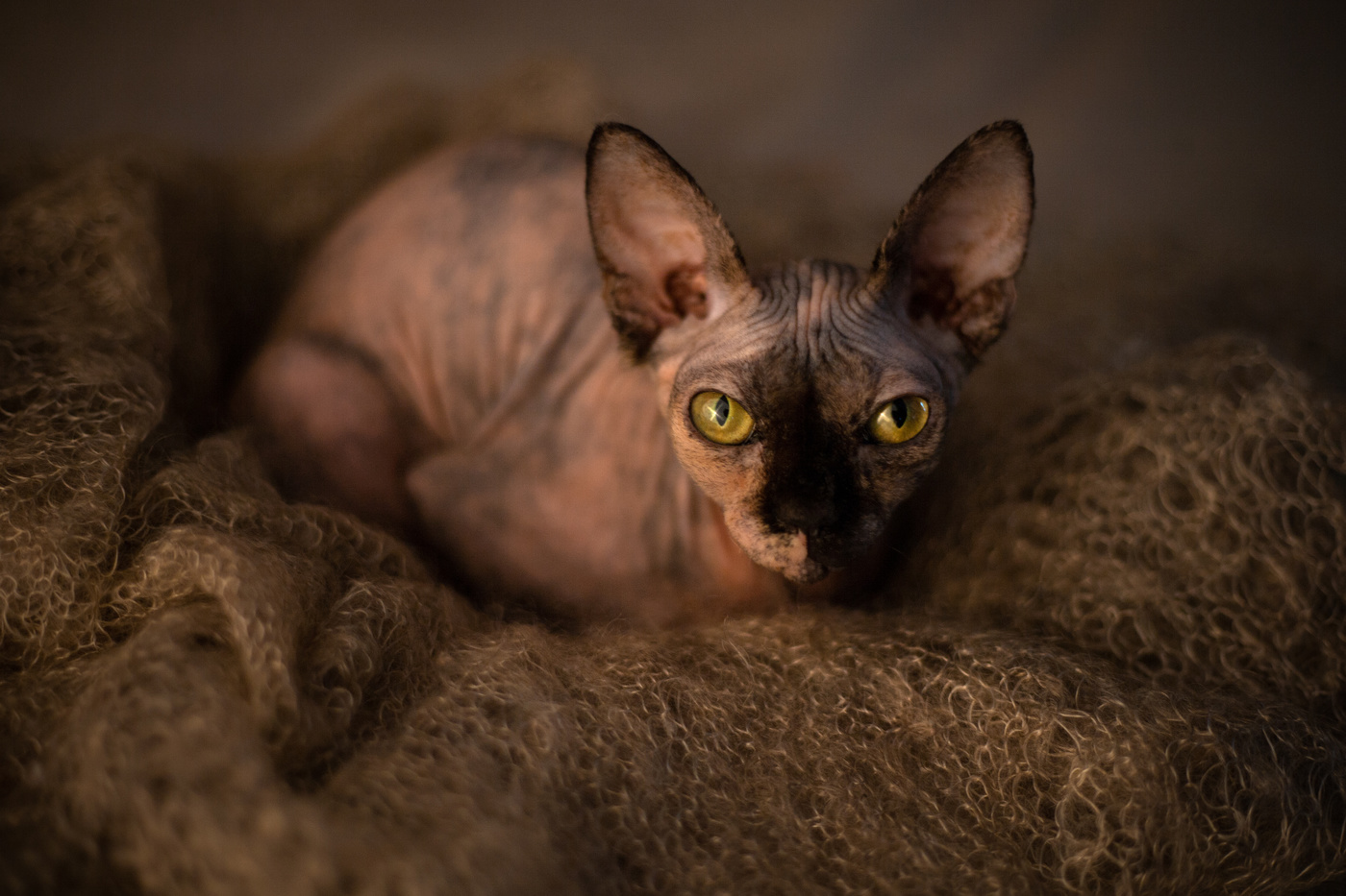 Amber