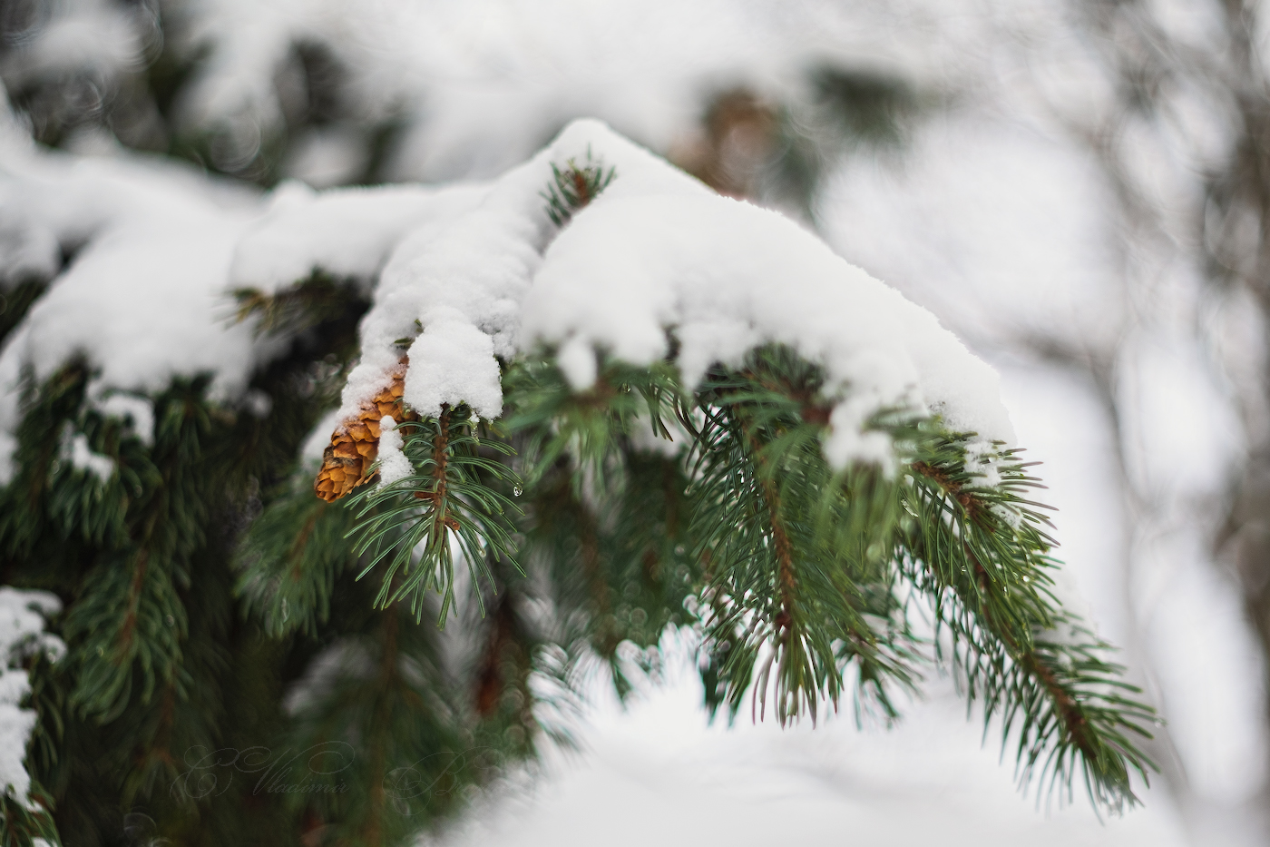 First snow