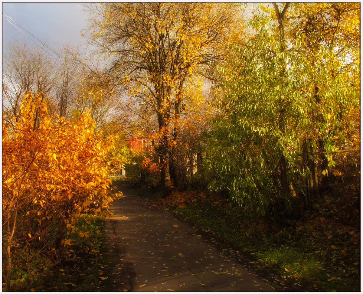 evening walks