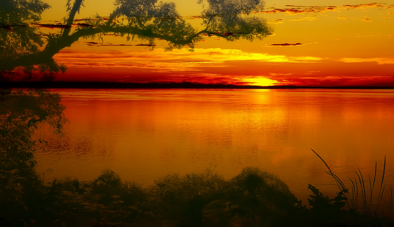 Dawn