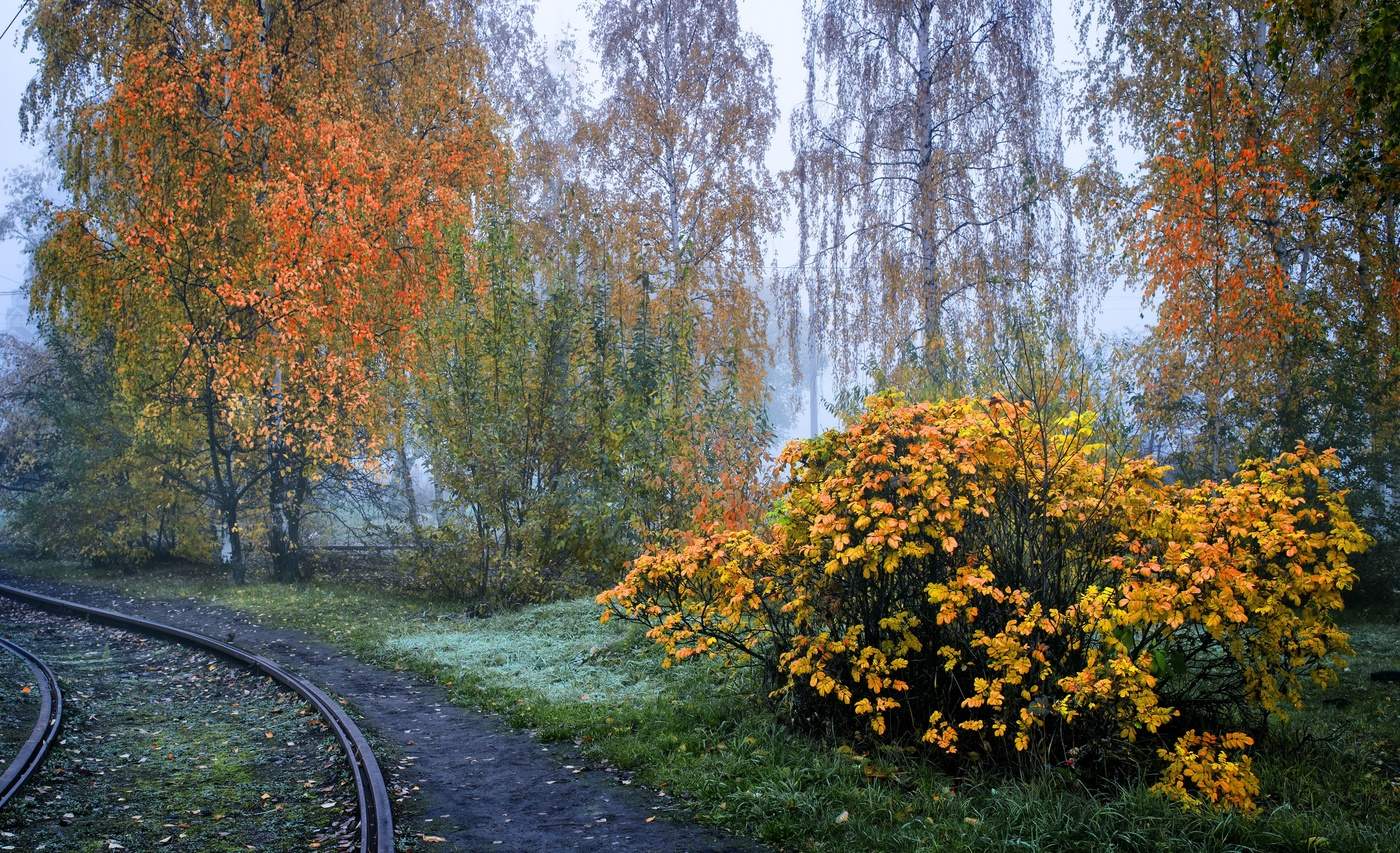 Autumn morning.