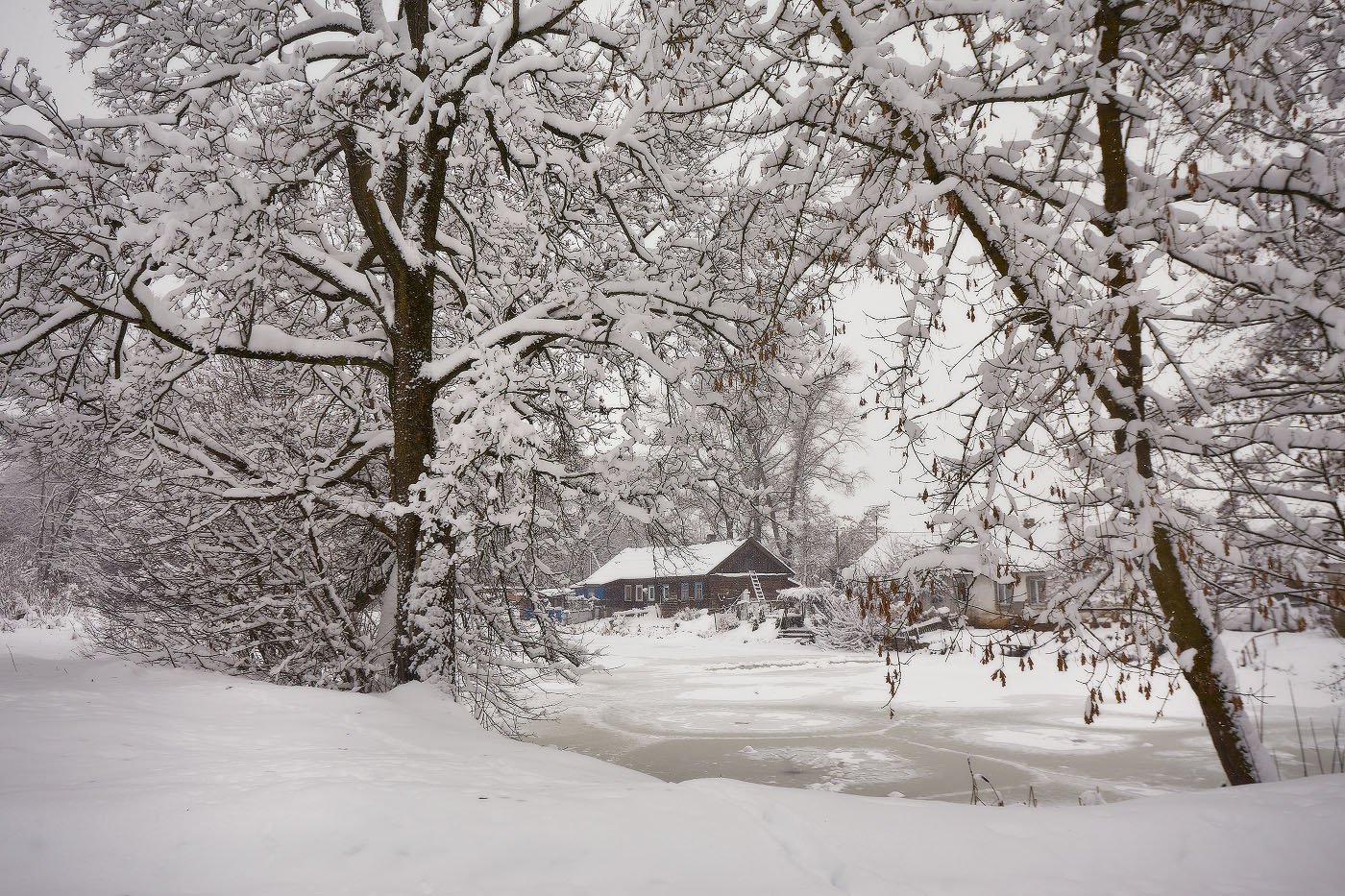 Winter Village