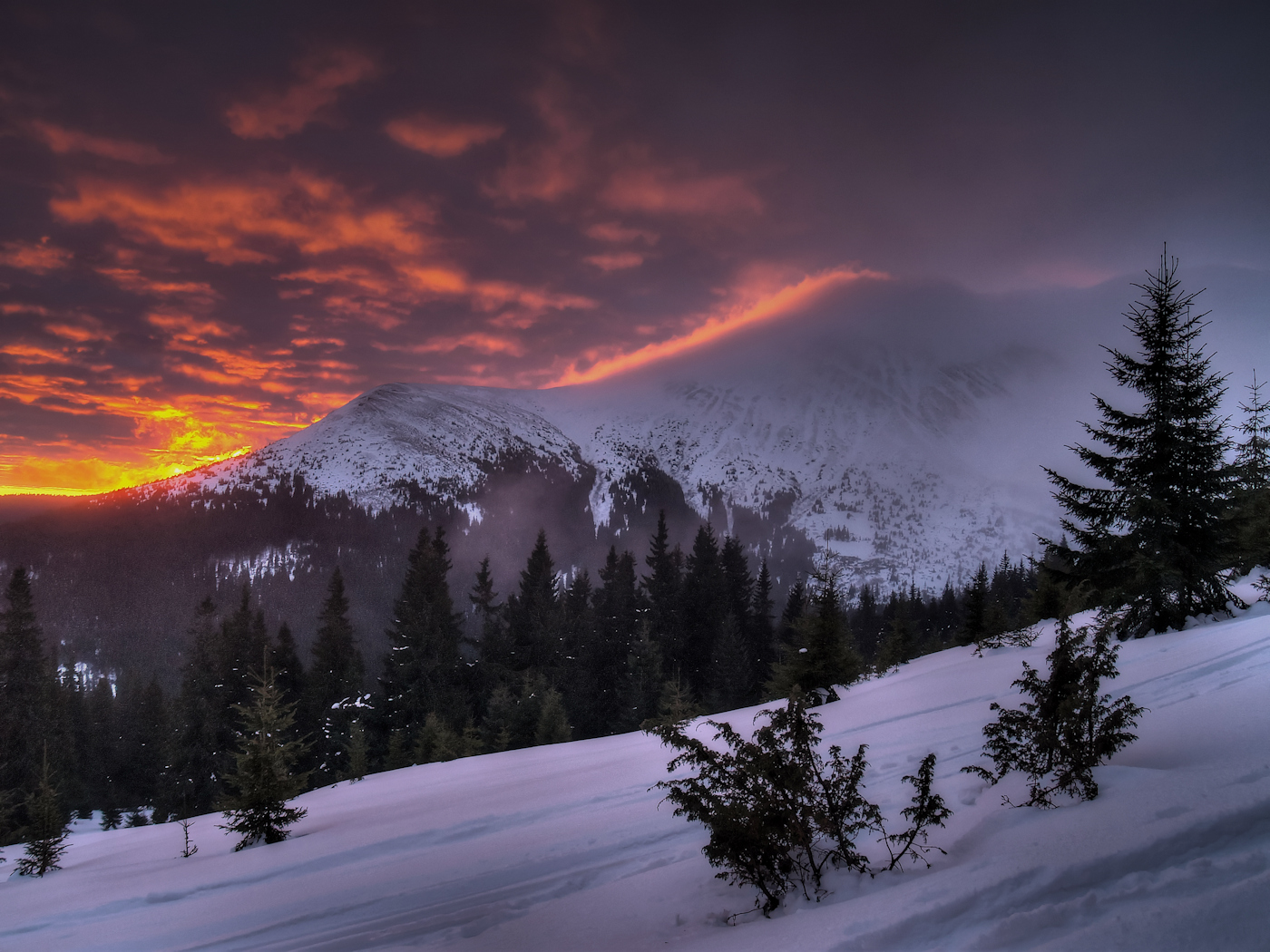 dawn prelude