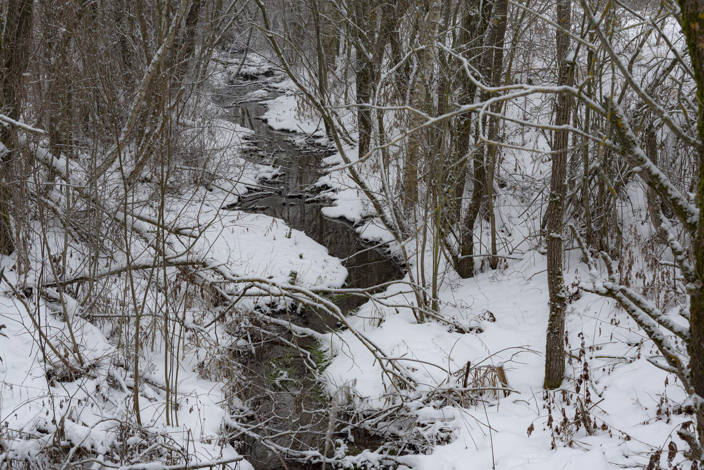Streamlet