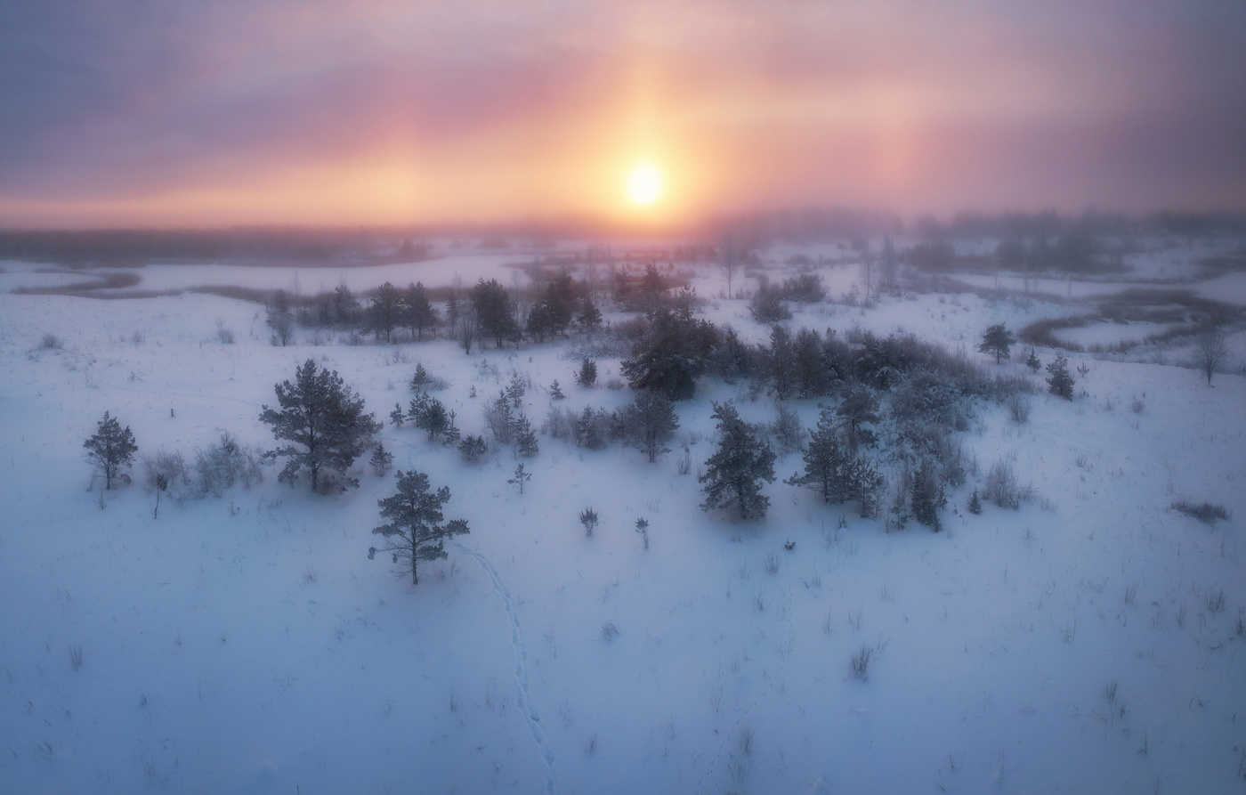-20