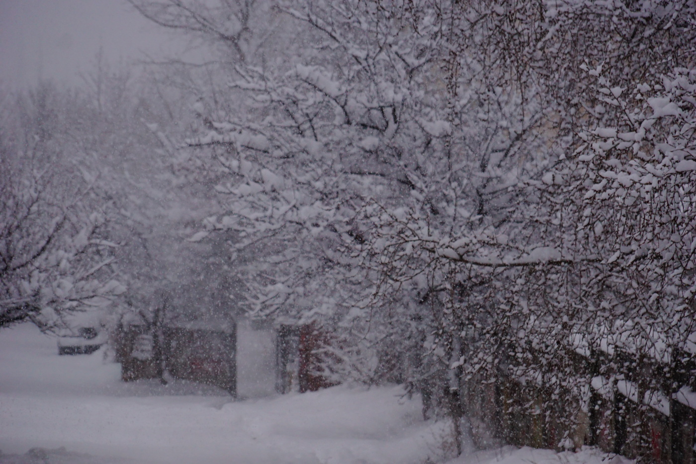 Snowstorm