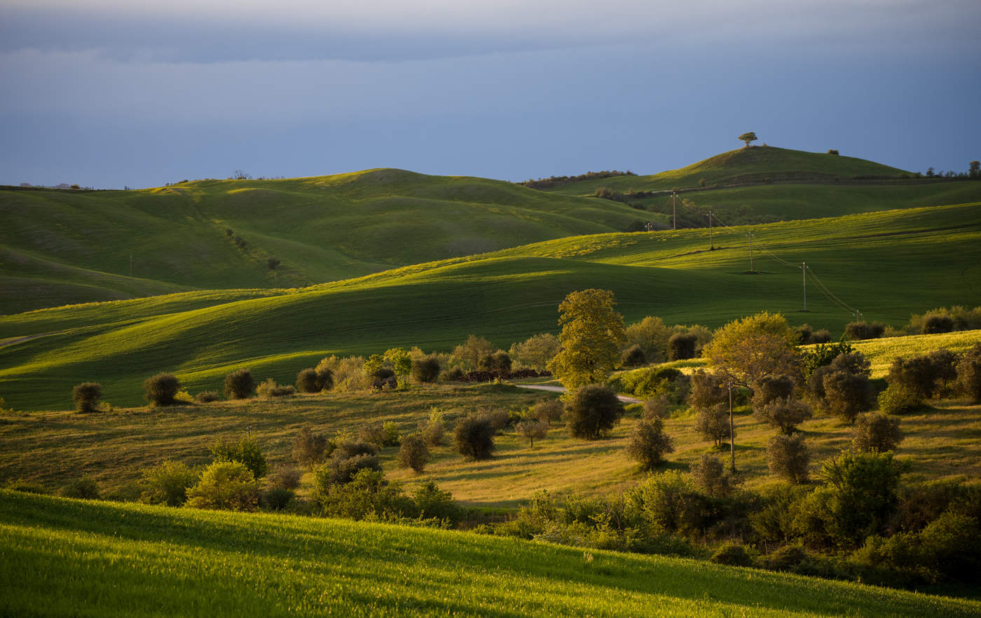 Evening light
