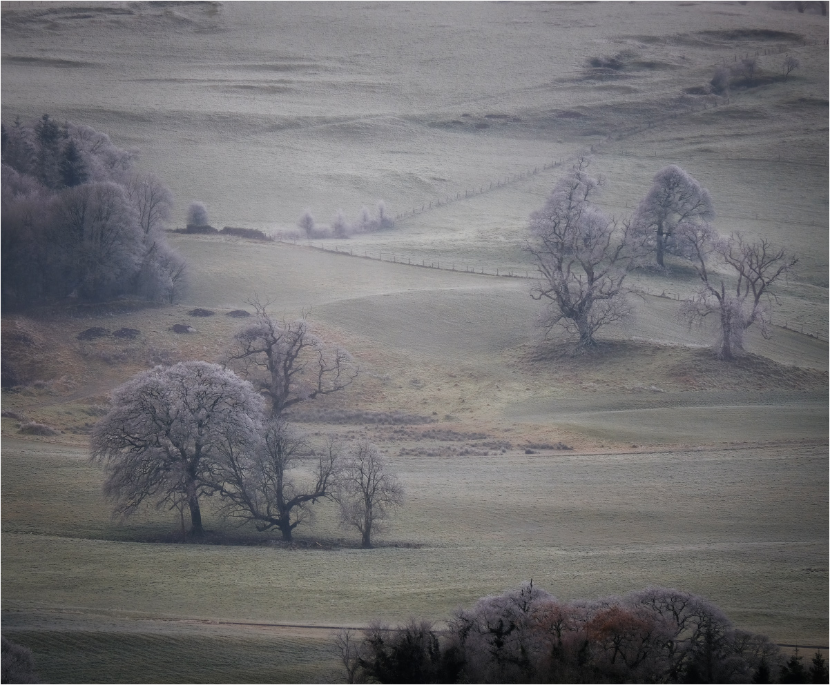 ...freeeeze...