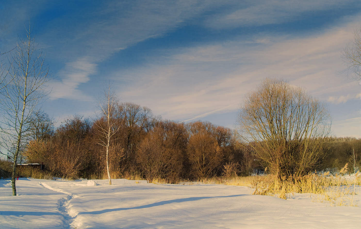 Waiting for Spring