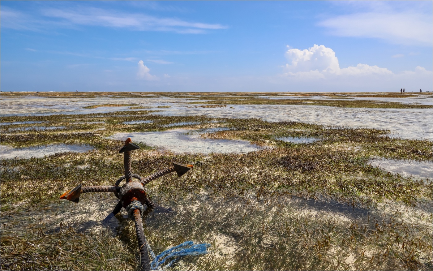 Low tide