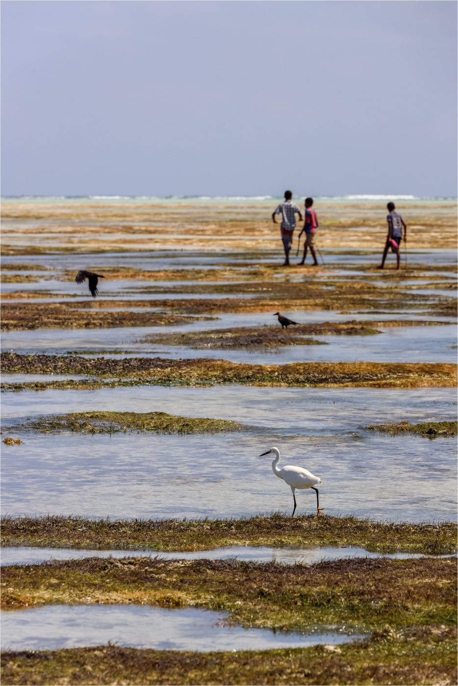 Low tide