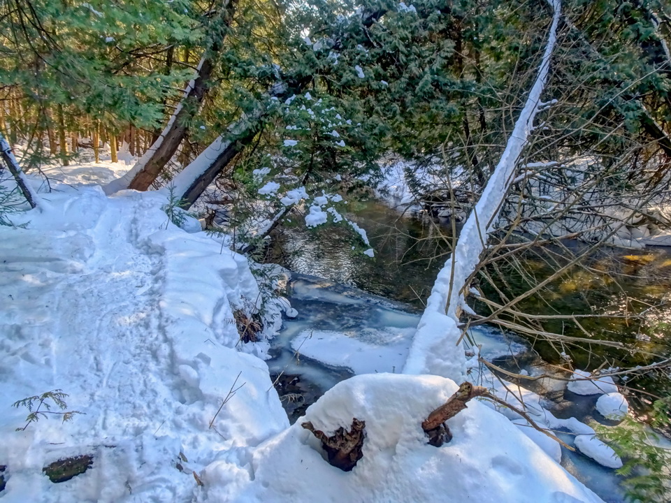 the brook