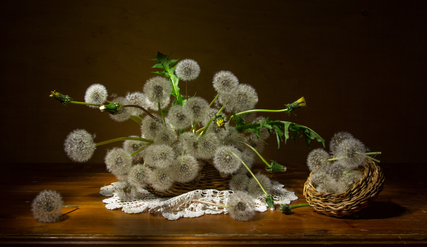 Fuzzies ...