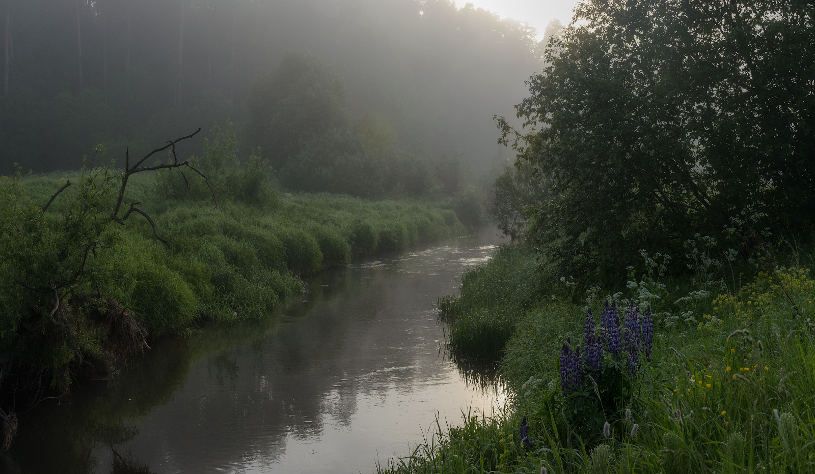 Fog dissipates