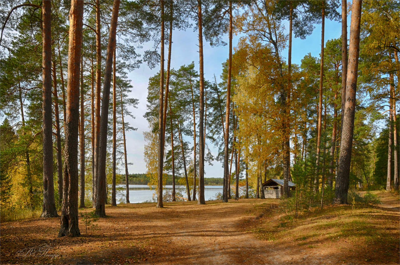 Sunny autumn