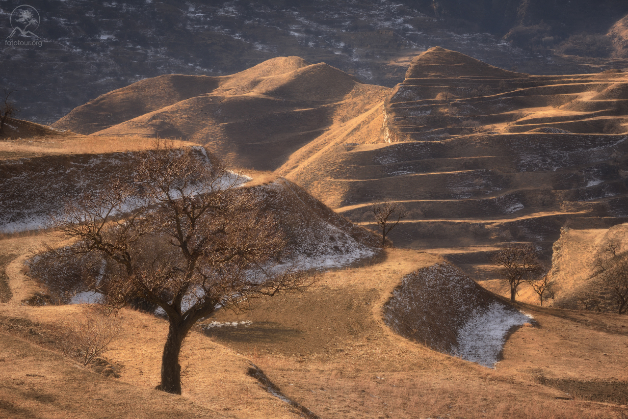 Spring is coming