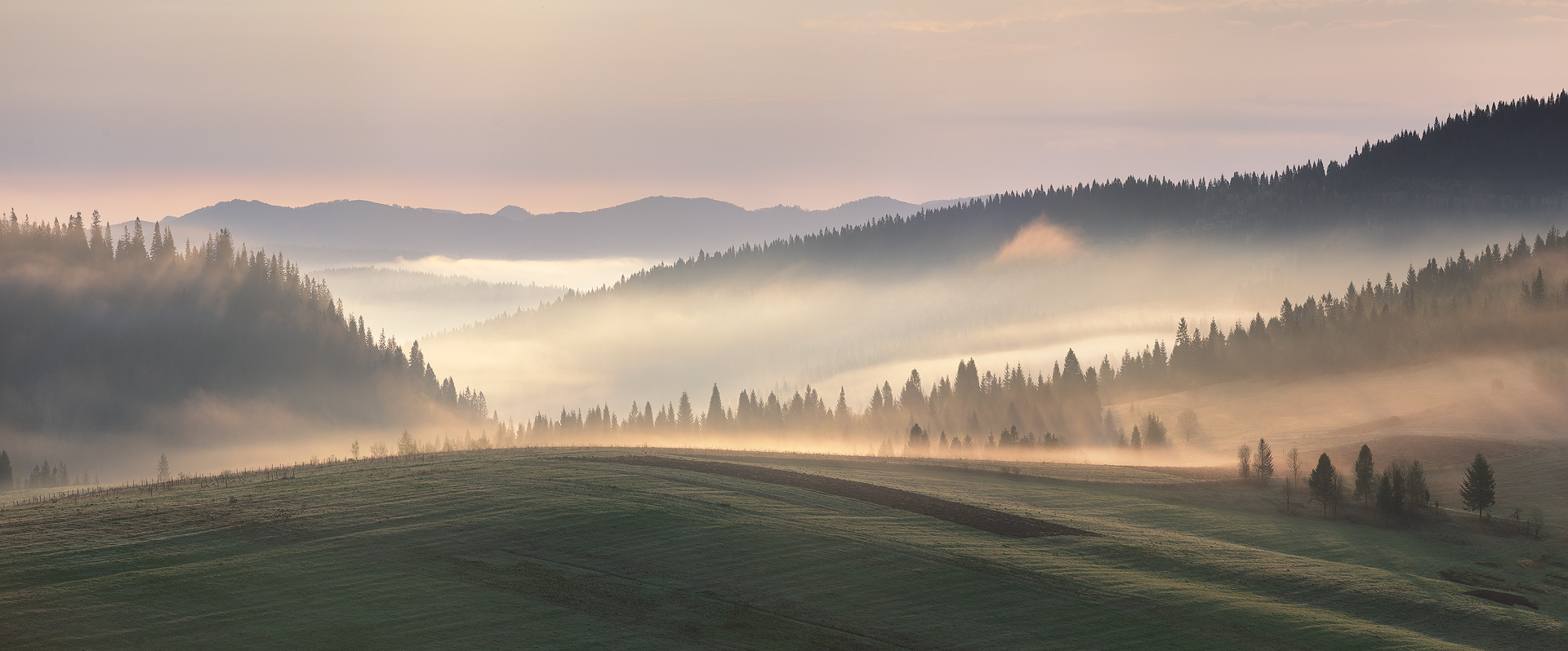 morning in the Carpathians