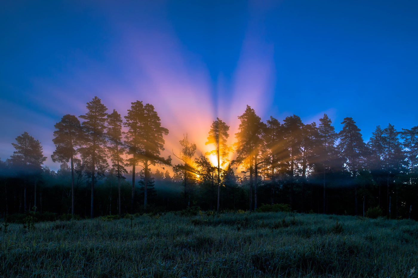 Fog dissipates