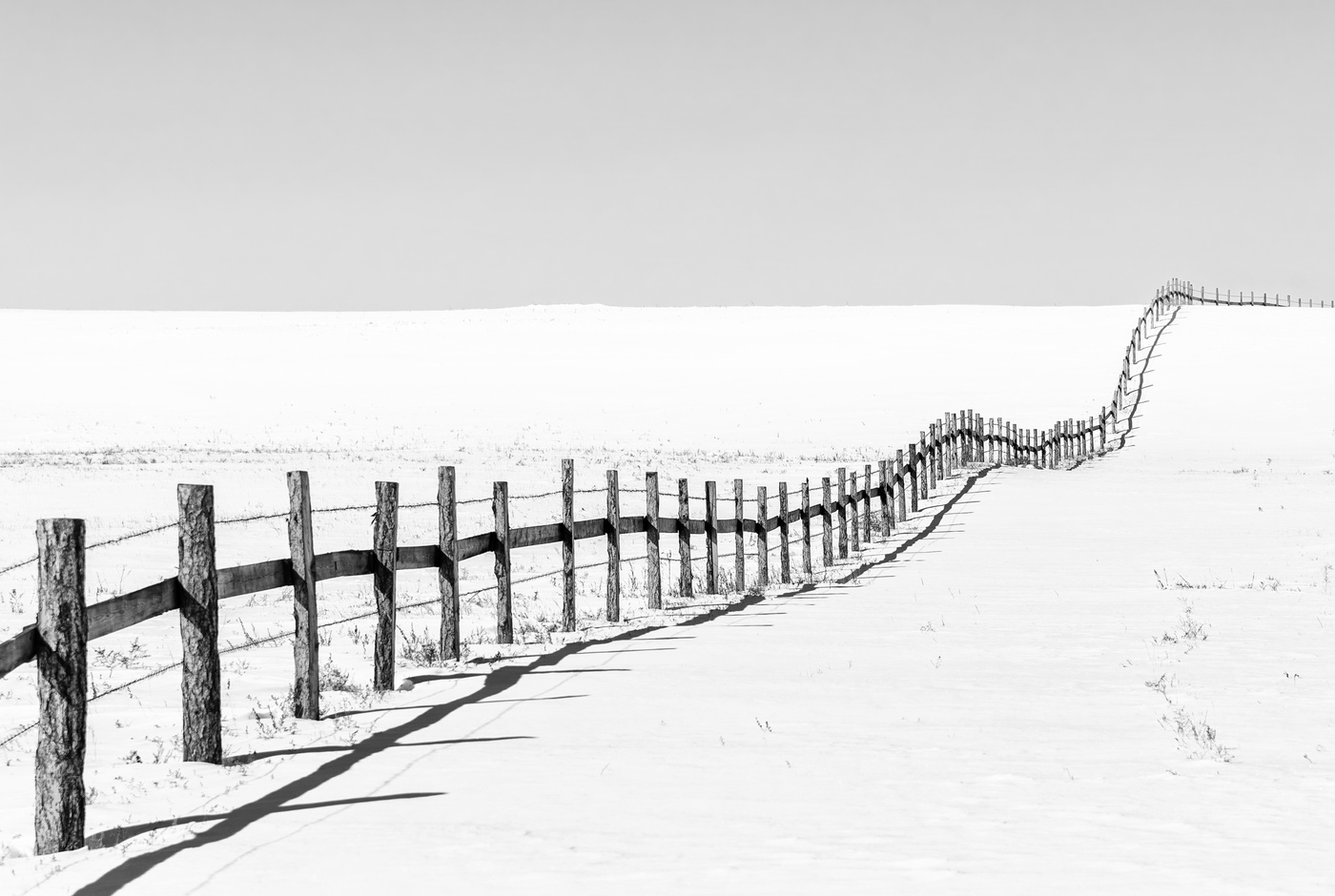 Fence