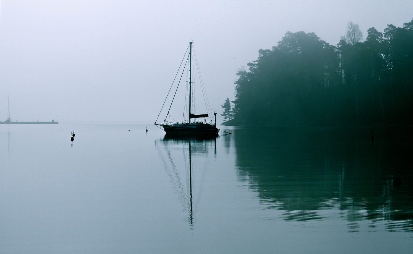 Misty Morning, morning sedoe ...