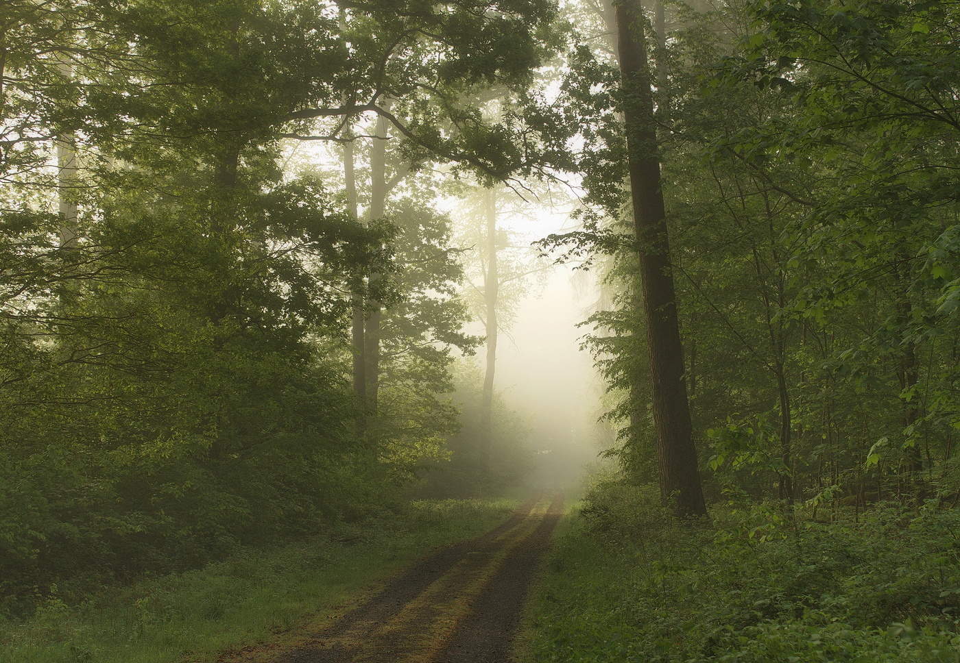 May morning