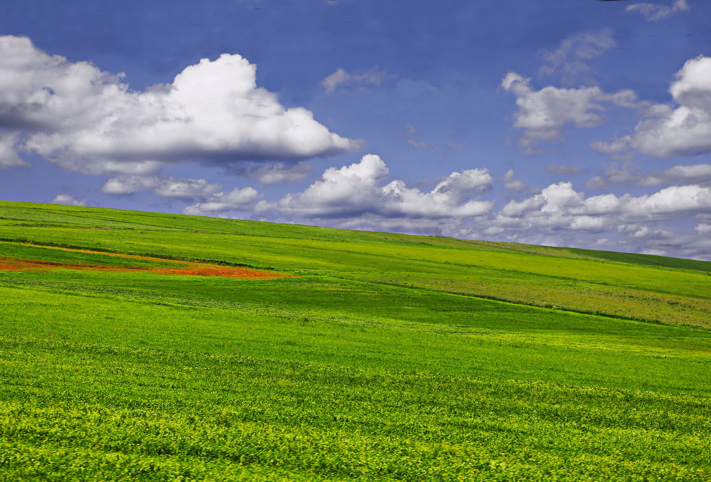 Spring open spaces