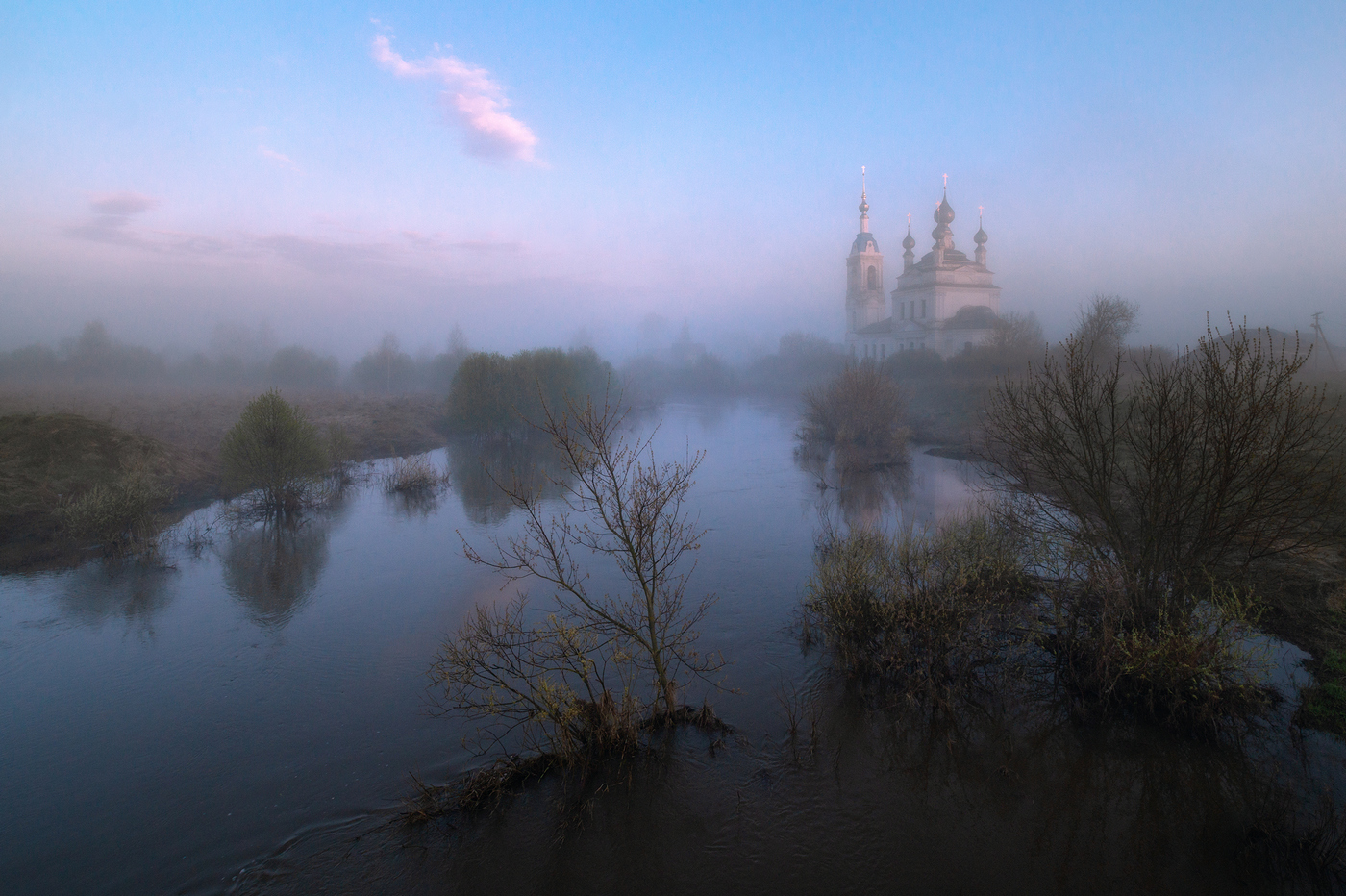 Foggy morning