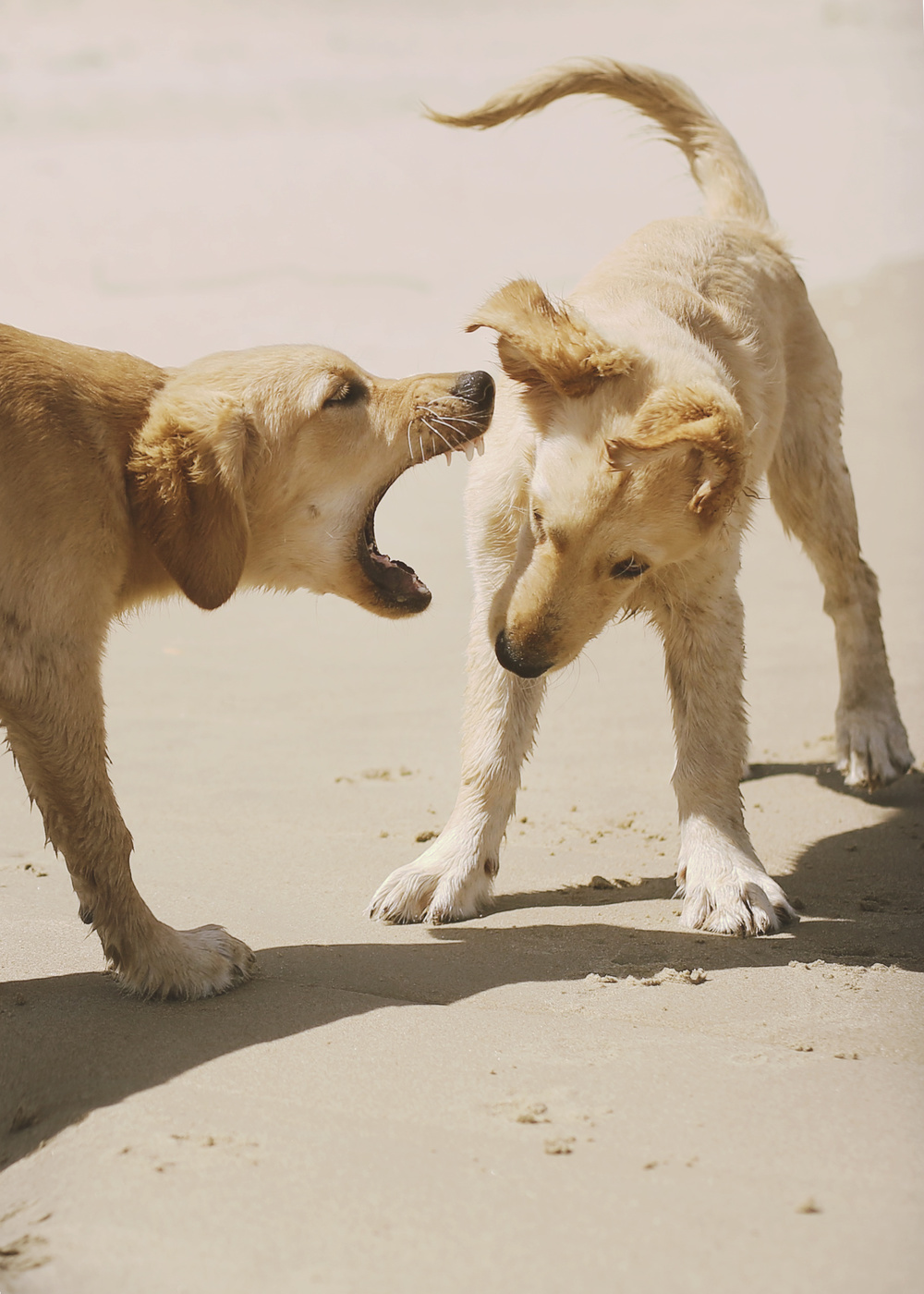 relationship