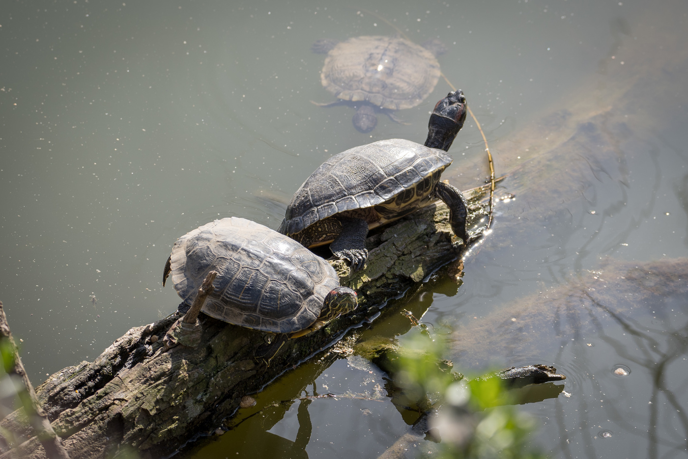 slower