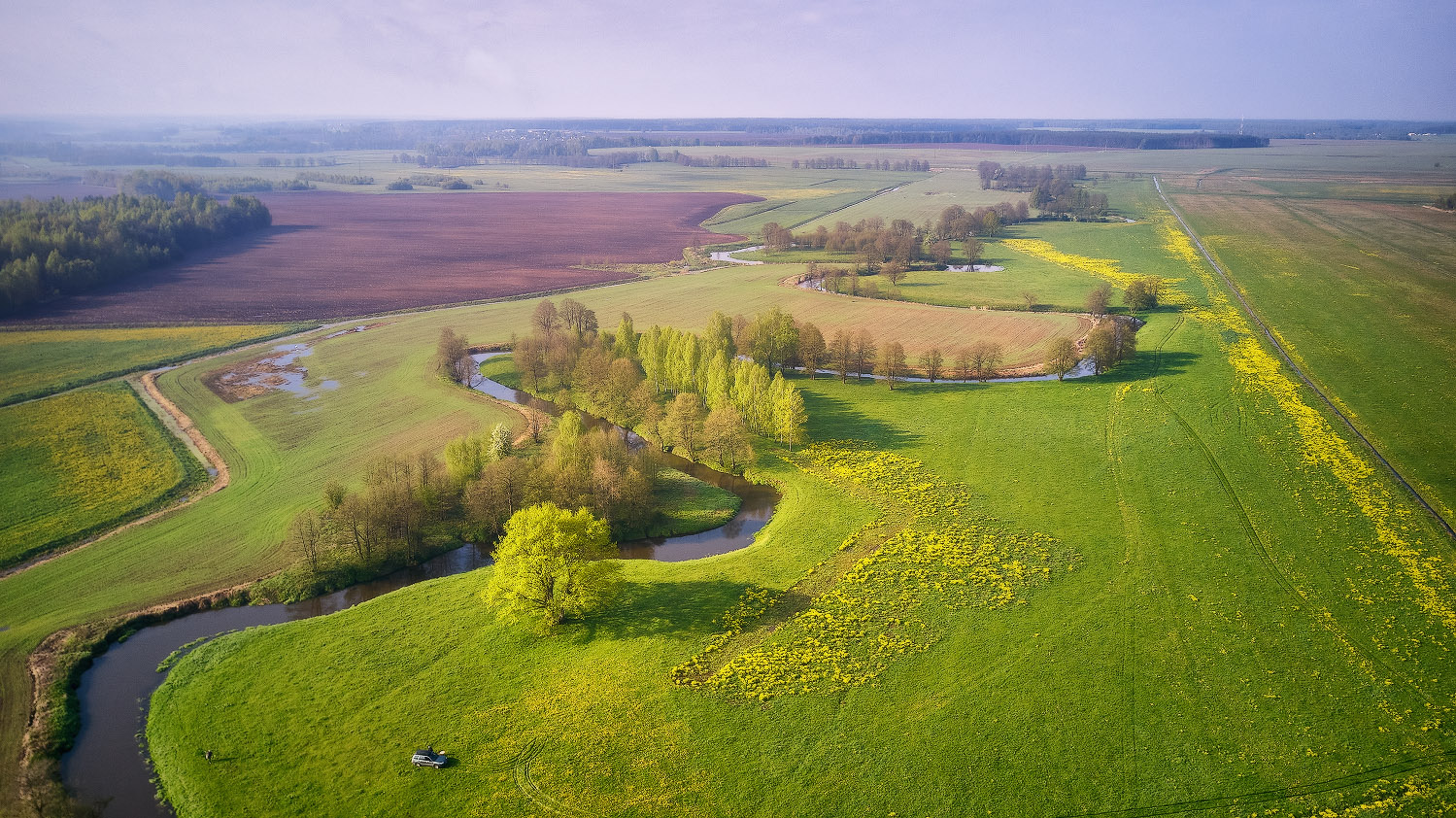 Spring coming