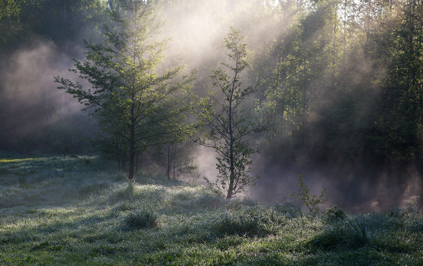 Fog dissipates