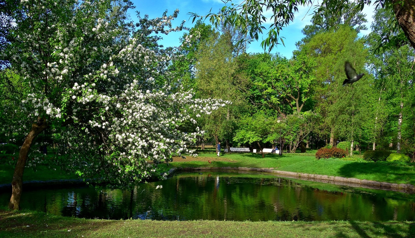 Spring etude