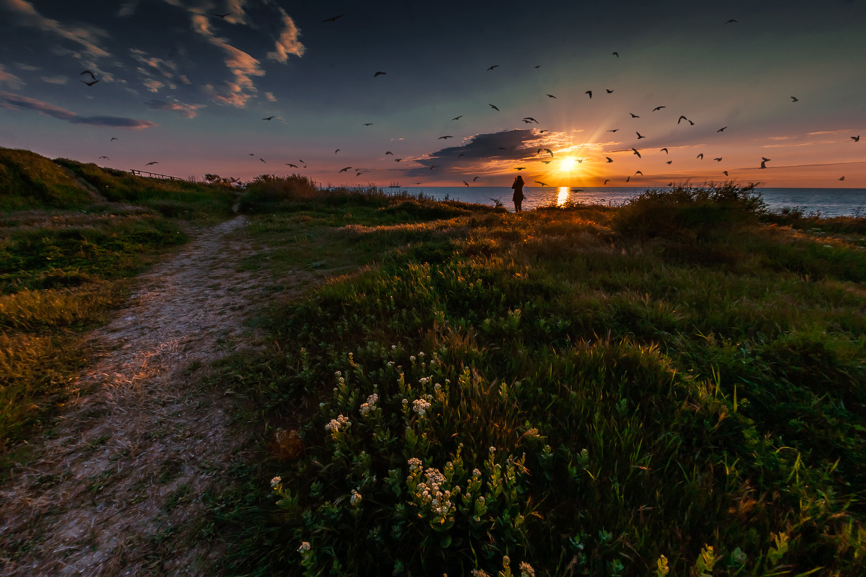 Sunset