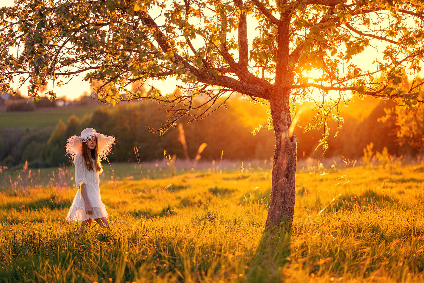 At sunset