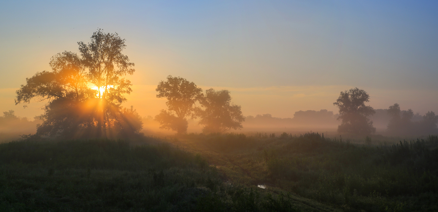 June Dawn