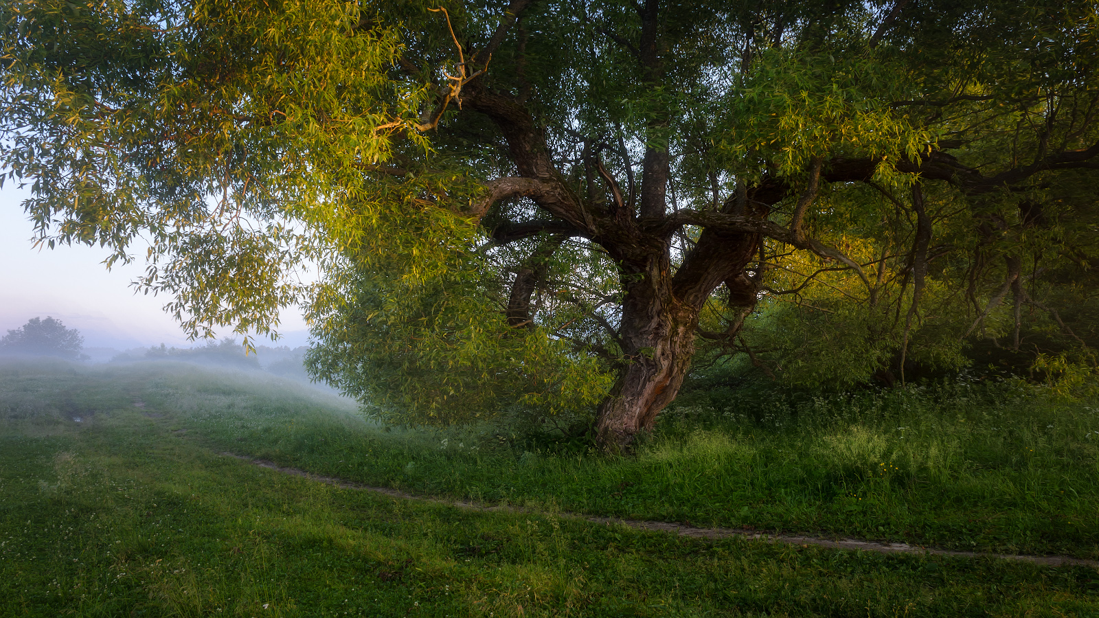 Path