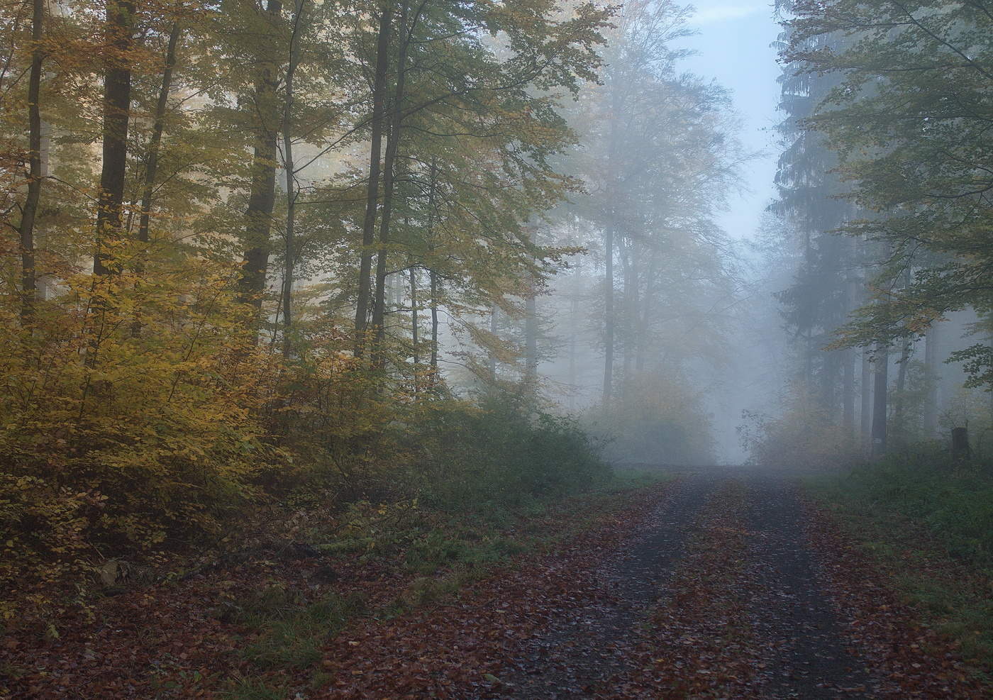 About autumn ...
