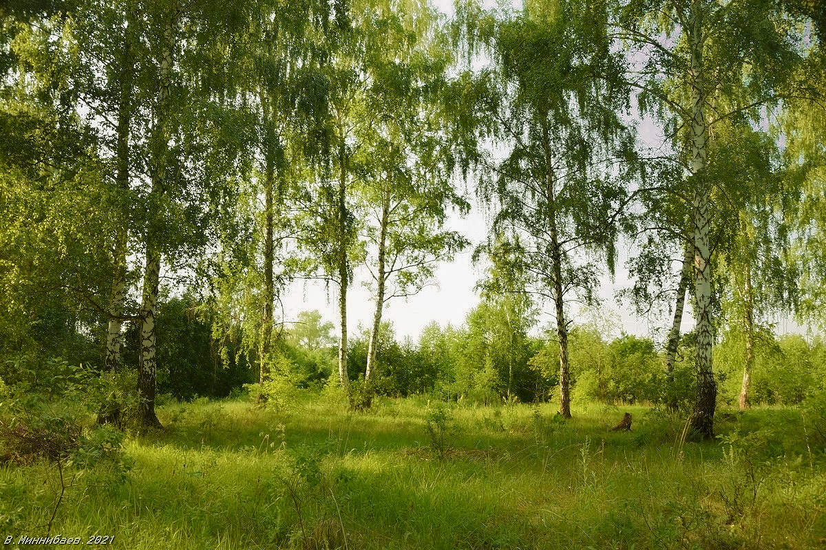 ***