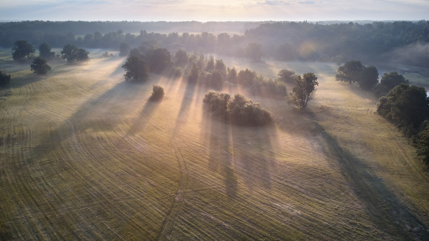 Summer Morning