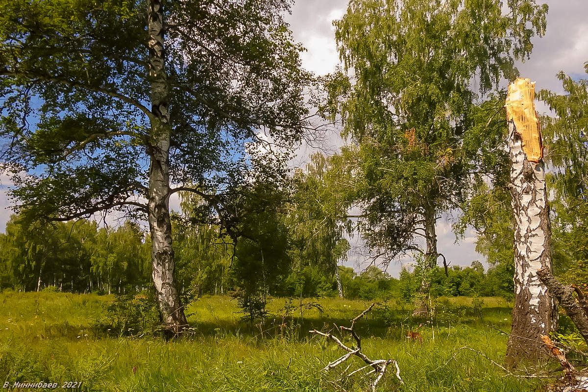 After the rain